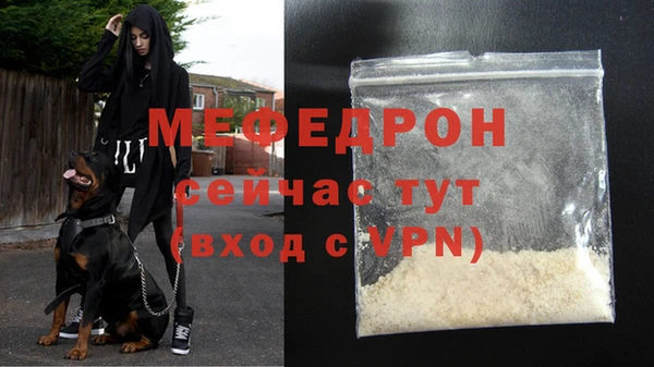 стаф Новозыбков
