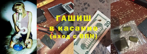 стаф Новозыбков